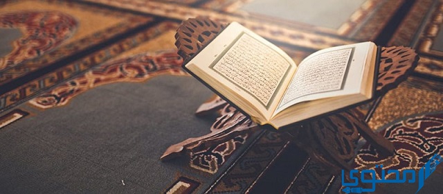 ما هي أطول كلمة في القرآن الكريم ؟