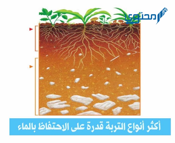 ما هي أكثر أنواع التربة قدرة على الاحتفاظ بالماء 1 ما هي أكثر أنواع التربة قدرة على الاحتفاظ بالماء