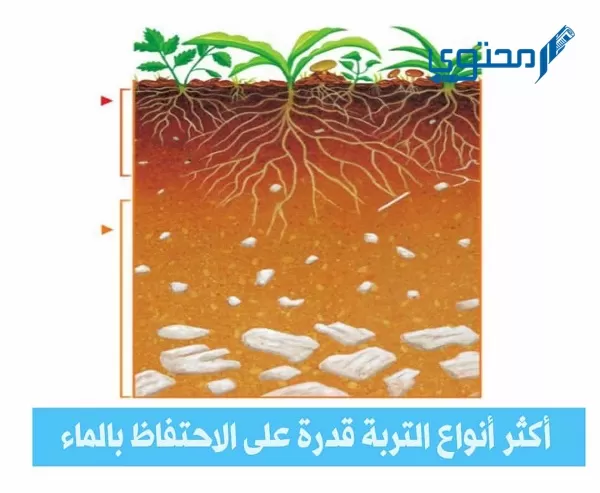 ما هي أكثر أنواع التربة قدرة على الاحتفاظ بالماء