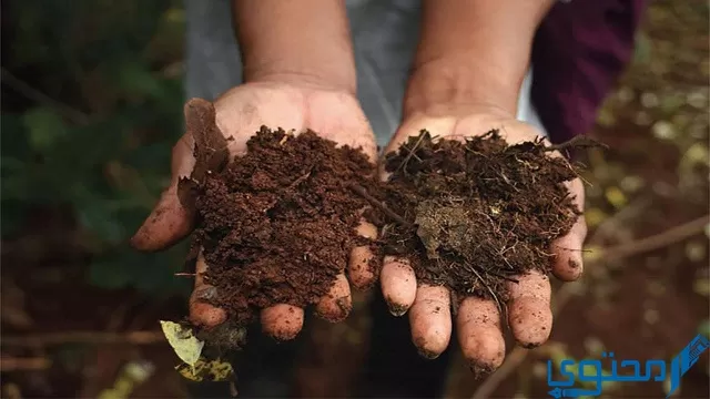 ما هي أهم خواص التربة الغرينية؟