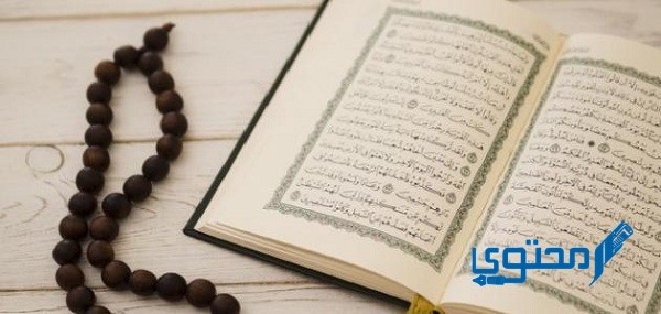 ما هي السورة التي فاضت عينا النجاشي بالدمع عند سماعها 1 ما هي السورة التي فاضت عينا النجاشي بالدمع عند سماعها