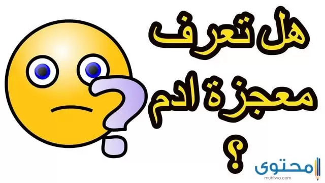 ما هي معجزات الأنبياء والرسل بالتفصيل