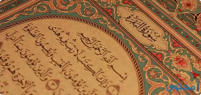 فضل قراءة سورة البقرة