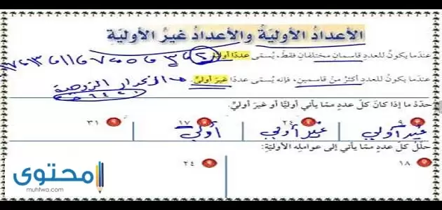 ما هي الاعداد الأولية