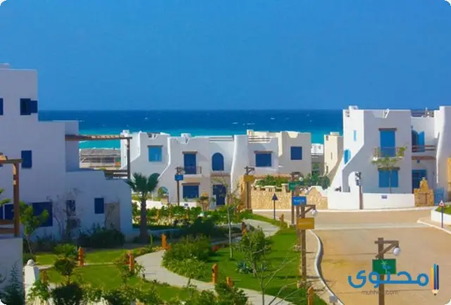 فيو09