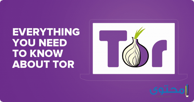 Tor Browser 2020