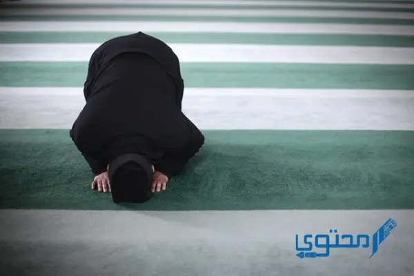 متى تبدأ صلاة التهجد ليلة 20 أم 21