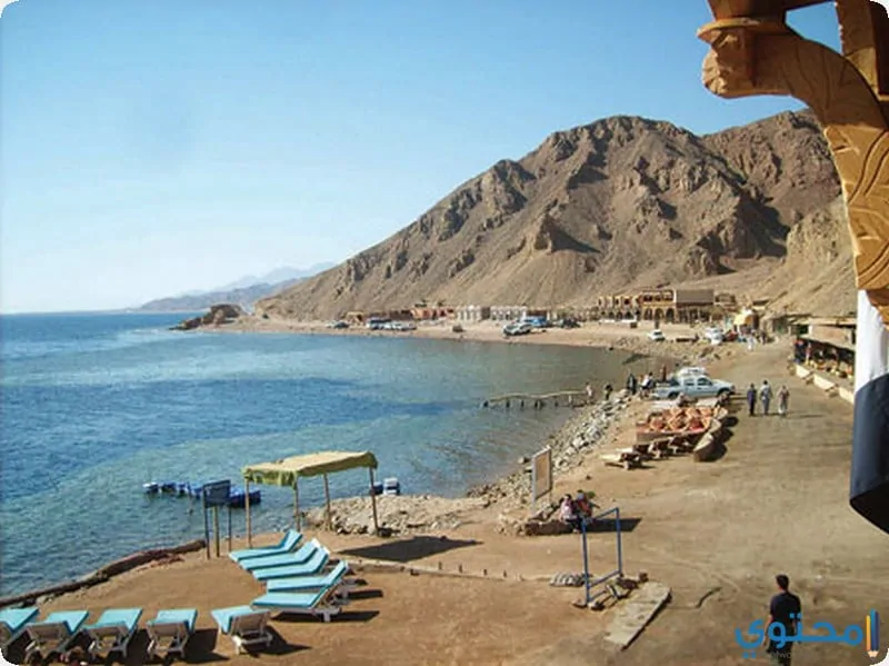 نبق1