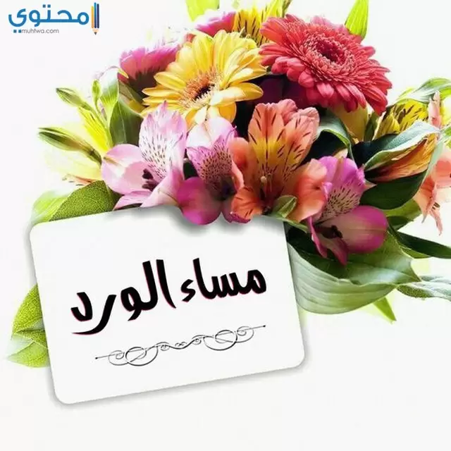 الخير36