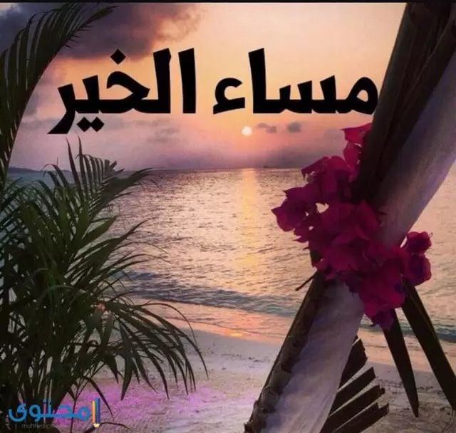 صور مساء الخير للاصدقاء