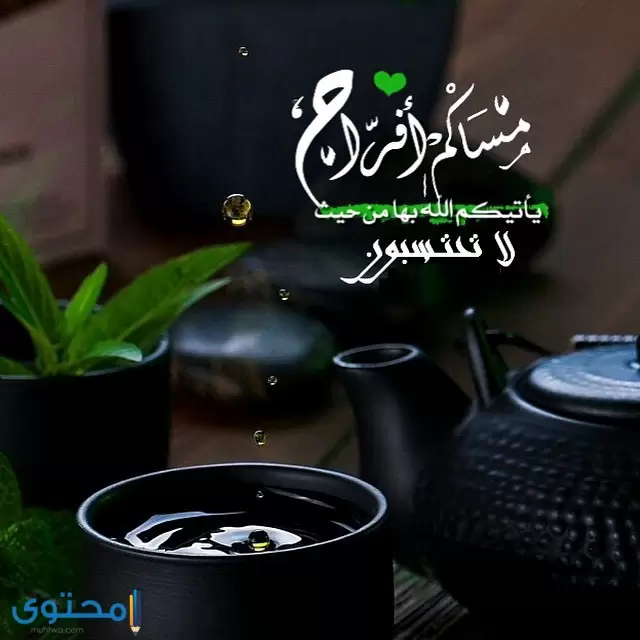 مساء الفل والخير06