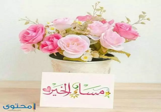 الفل والخير18 1