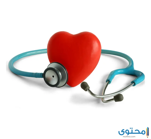 أفضل مستشفى قلب في الأردن