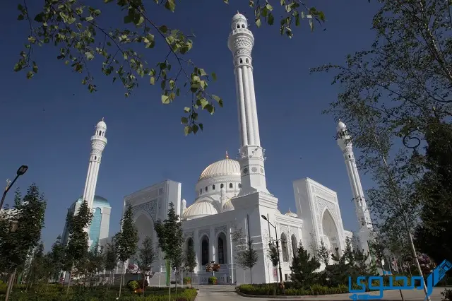 مسجد شالي ـ روسيا
