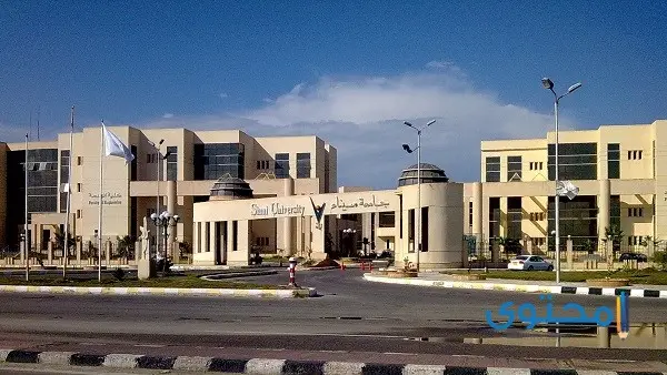 مصاريف جامعة سيناء