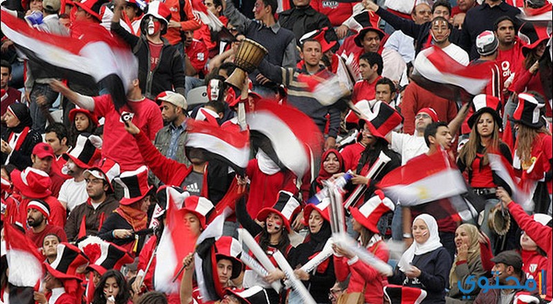 مصر02.jpg