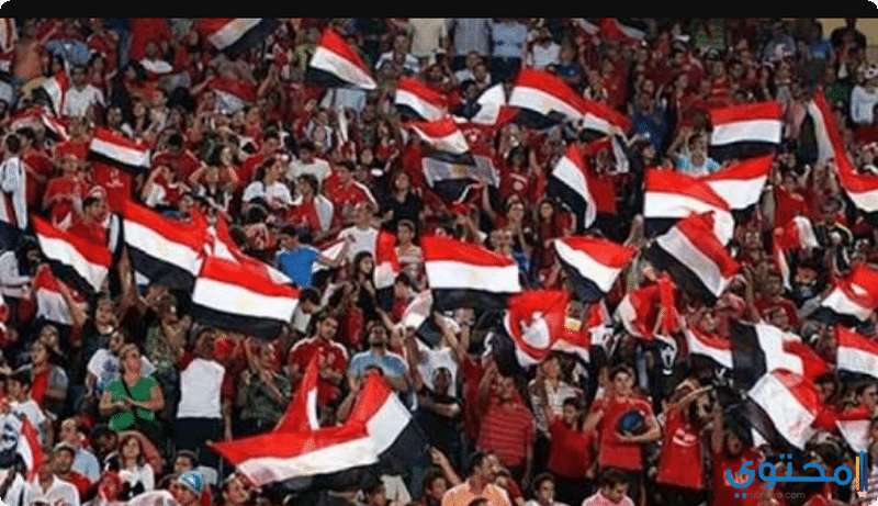 مصر12.png