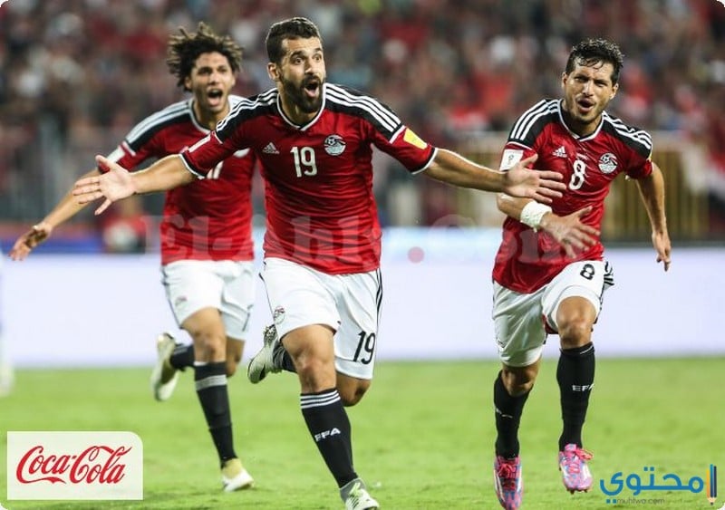 مصر15.jpg