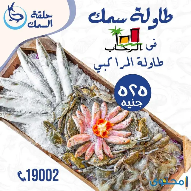 مطاعم أسماك في مصر