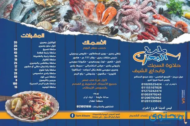 مطاعم أسماك في مصر