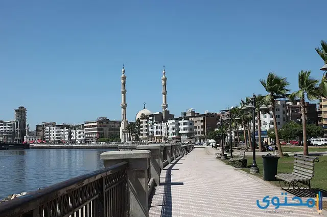 مطعم برجر في دمياط