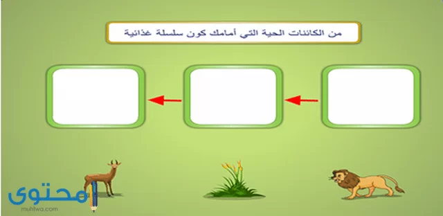 مطويات جاهزة وورد