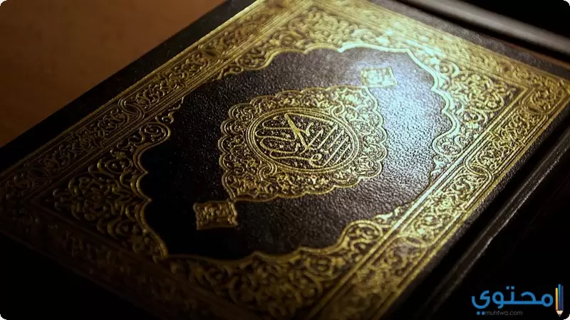 سيدنا عيسى عليه السلام1