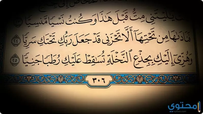 سيدنا عيسى عليه السلام3