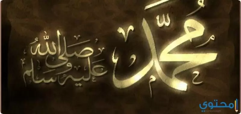 سيدنا محمد 1
