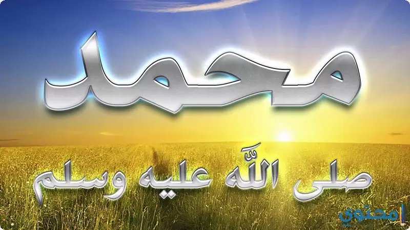 سيدنا محمد 4