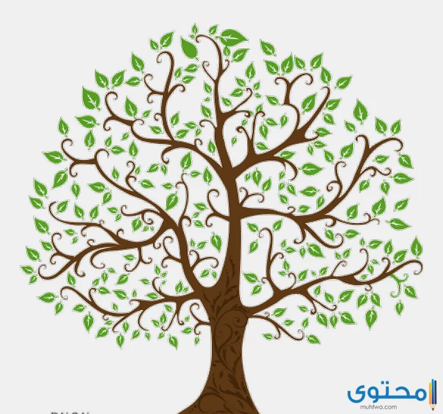 شجرة العائلة في لبنان