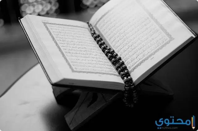 معلومات ثقافية اسلامية