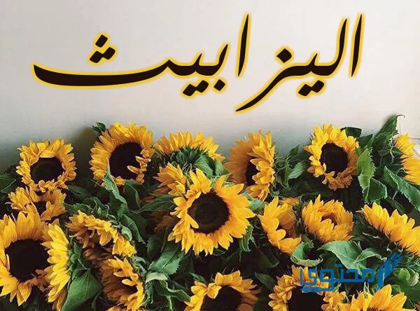 معنى اسم إليزابيث