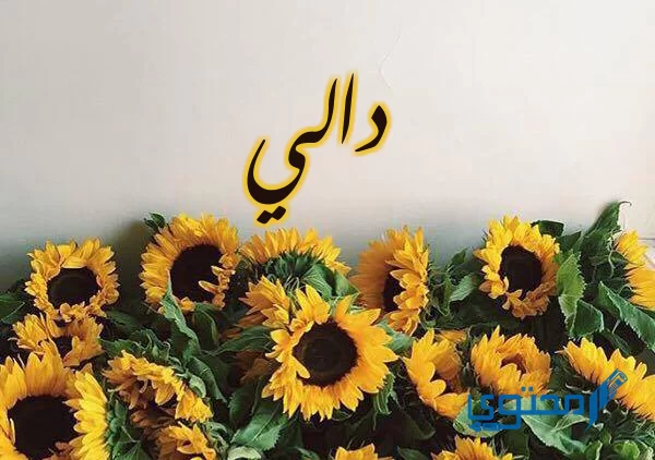 معنى اسم الدالي