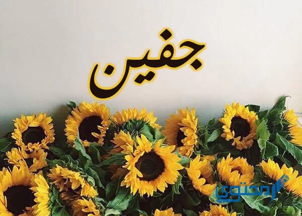 معنى اسم جفين