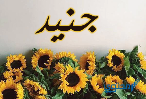 معنى اسم جنيد