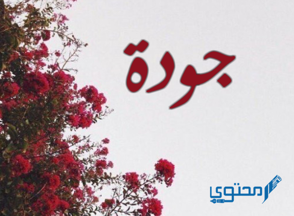 معنى اسم جودة وصفات حامل اسم (Joudah) 1 معنى اسم جودة