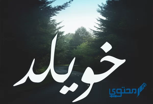 معنى اسم خويلد