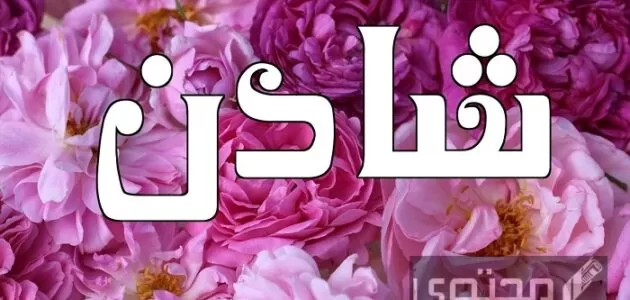 معنى اسم شادن و صفات حاملة الاسم