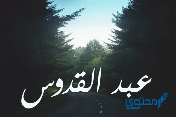 معنى اسم عبد القدوس Abd Alqdos