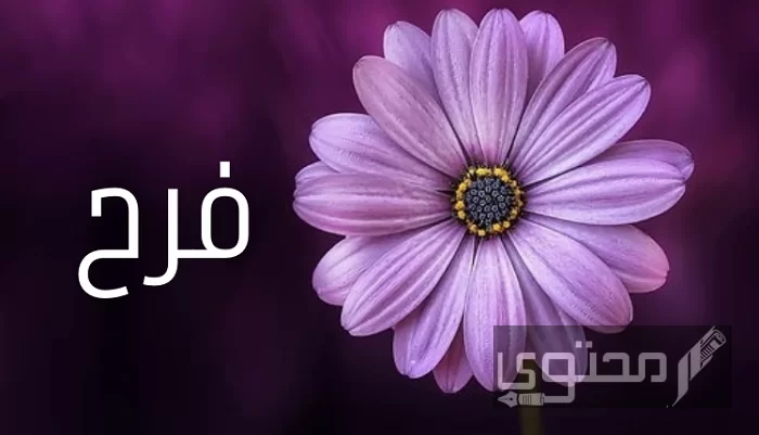 معنى اسم فرح