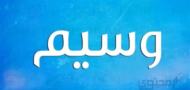 معنى اسم وسيم