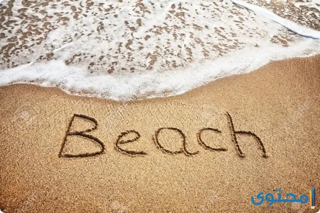 معنى كلمة beach