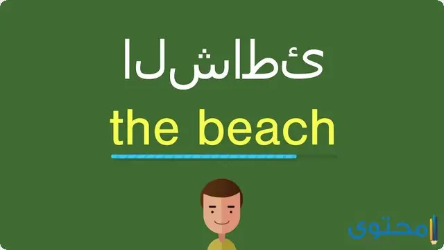 معنى كلمة beach