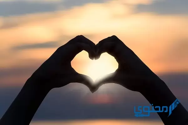  معنى كلمة my heart بالعربي