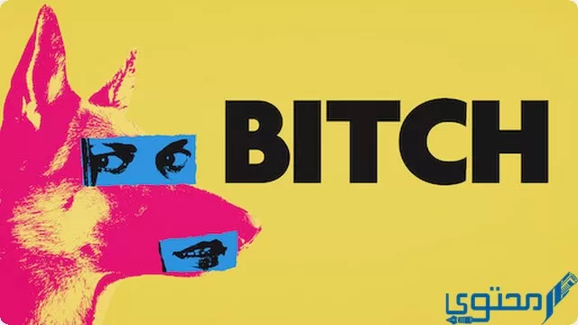 معنى كلمة بيتش ؟ ايش يعني بيتش bitch