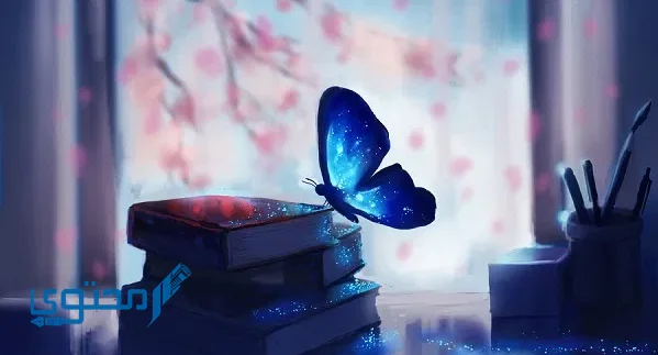 معنى وجود الفراشة في البيت