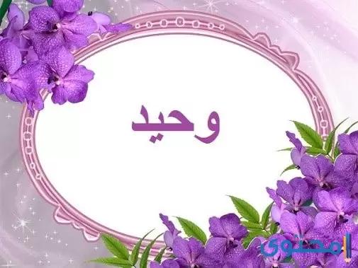 معنى اسم وحيد