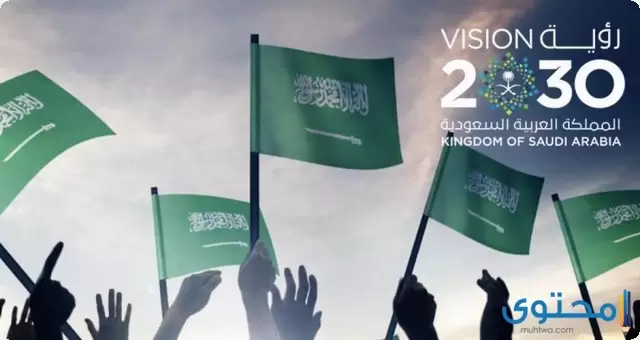 رؤية المملكة 2030 