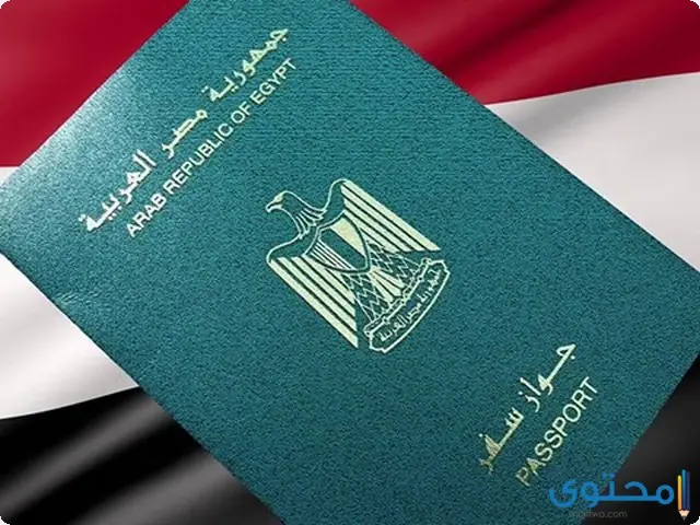 مميزات جواز السفر الخاص المصري